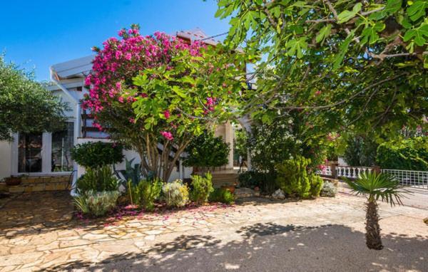 Apartment "Marija" - Otok Vir Luaran gambar